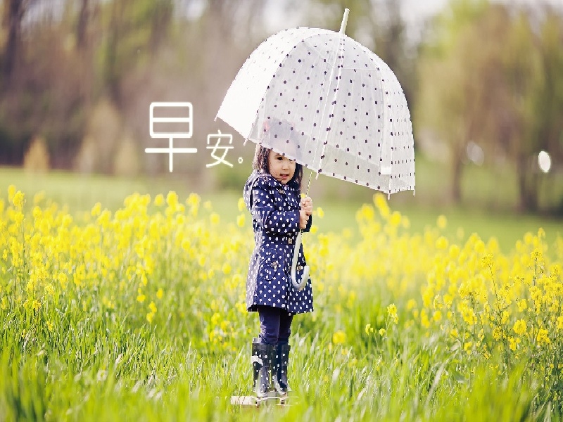 试管移植完痛经，试管双胎单亲